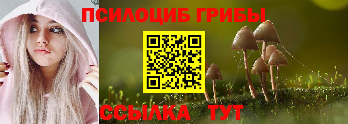 Горячий Ключ  Галлюциногенные грибы Psilocybine cubensis  Вход с VPN 